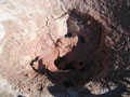 mud face.JPG